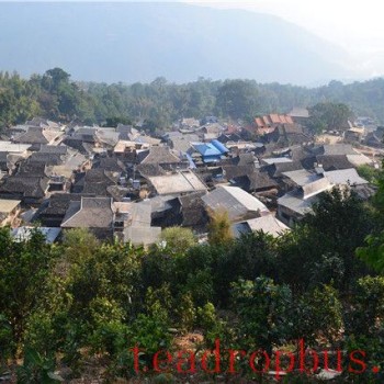 Tea King Festival: An Overview of the History and Culture of Menghai Pu-er Tea (Part Three)