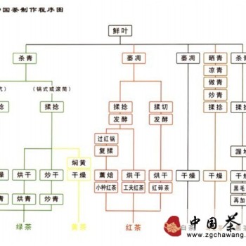 The Production Process of China's Six Major Tea Categories