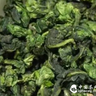 A Simple Introduction to the Six Major Tea Categories: Oolong Tea