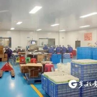 Annual Matcha Production of 4,000 Tons! A "World-Class Matcha Mega Factory" at the Foot of Fanjing Mountain