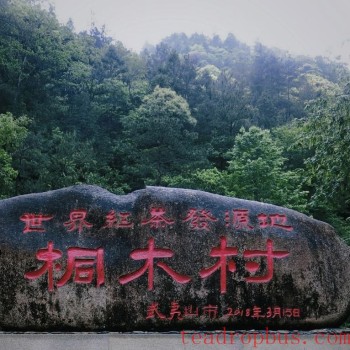 A Detailed Look at the Manufacturing Techniques of Zhengshan XiaoZhong, an Intangible Cultural Heritage
