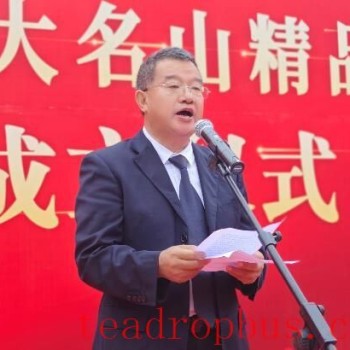 Xishuangbanna Prefecture Strengthens Its Renowned Tea Brand from Famous Mountains, Signaling a New Chapter in Rural Revitalization