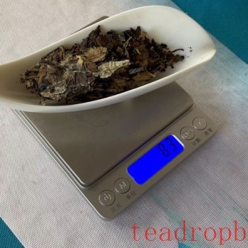 Correct Method for Brewing White Tea