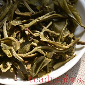 Lao Xu on Tea: Fermenting Sheng Pu-er to Mimic Aged Tea – How to Spot the Fakes by Aroma, Infusion, and Leaf?