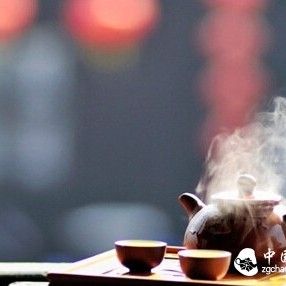 How to Experience "Tea Qi"