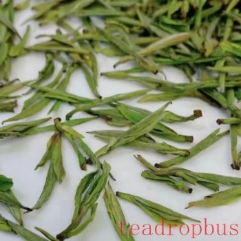 The Benefits and Effects of Tea Water