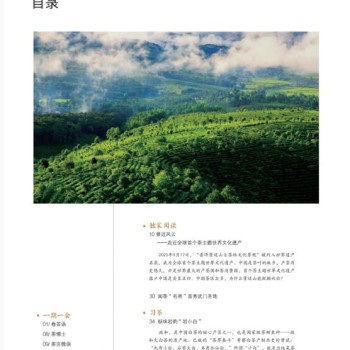 Jingmai Chronicles: Step into the World-s First Tea-Themed World Heritage Site