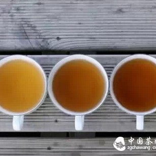 20 Common Sense Facts About Tea Worth Collecting