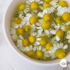 Which Teas Are Most Refreshing to Drink in Autumn