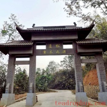 The Most Expensive Pu-er Tea, Mansong &#8211; With Such Limited Production, Why is it So Ubiquitous in the Market?