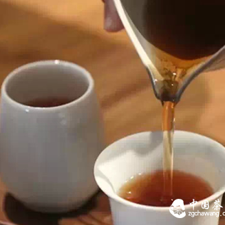 52 Classic Quotes about Phoenix Dancong Oolong, Overturning All Your Perceptions of It!