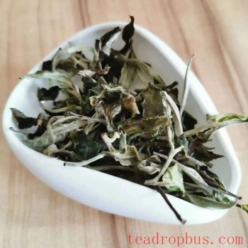 The Allure of the Green Flavor in Fresh White Tea: Exploration and Enlightenment
