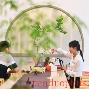 Fujian-s Mountains Yield Tea Leaves, Scent Travels Thousands of Miles
