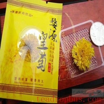 Wuyuan Imperial Chrysanthemum