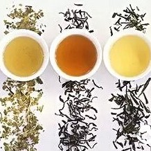 Is There a Connection Between Weight Loss, Beauty, Anti-Aging, Cancer Prevention, and Drinking Tea?