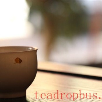 Puer Tea Storage Methods and Conditions