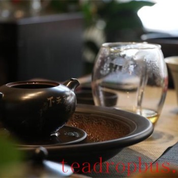 Attention to These Details When Brewing Tea, and the Infusion Will Surprise You!