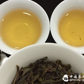 Phoenix Dancong | Magnolia Fragrance