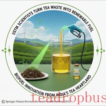 Brewing Clean Energy: Turning Spent Tea Leaves into Bioethanol
