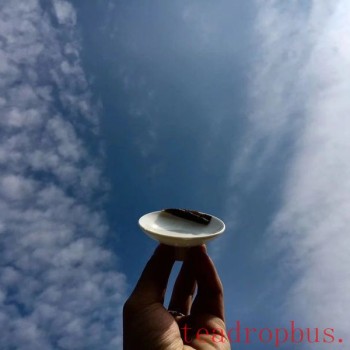 How to Brew Tea for a Better Taste?