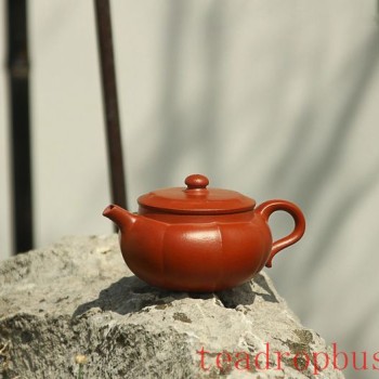 Six Bad Habits in Caring for Your Teapot, The First One Snags Many!