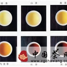 Identifying Errors and Verifying Authenticity: Non-fermented Tea, Slightly Fermented Tea, Semi-fermented Tea, Fully Fermented Tea, and Post-fermented Tea