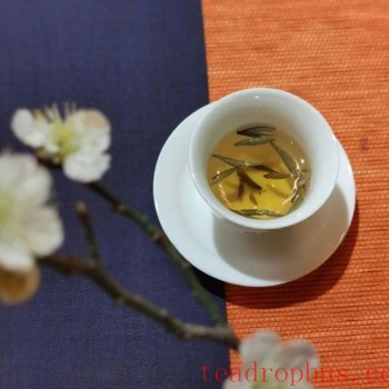 Hold a Cup of Fragrant Tea, Keep a Moment of Tranquility