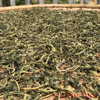 Puer Spring Tea Market Release