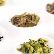 Oolong Tea's 'Light Fragrance' vs. 'Strong Fragrance': You Won't Know Without Comparing