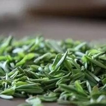 Where Does the 'Astringency' in Tea Actually Come From?