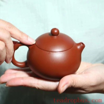 Ten Teapots Most Adored by Women