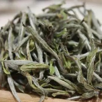 17 Professional Terms for the Aroma of White Tea—Master These and You-ll Be an Expert