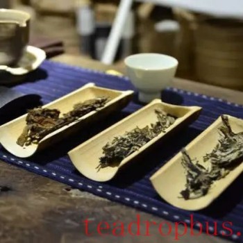 The Art of Brewing and Boiling Tea