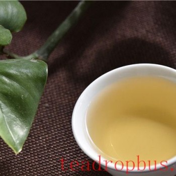 Tea-s Melody: Savoring Life in Tranquility and Freedom