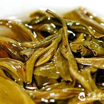 This Might Be the 8 Questions About Pu'er Tea That All Pu'er Tea Drinkers Want to Know