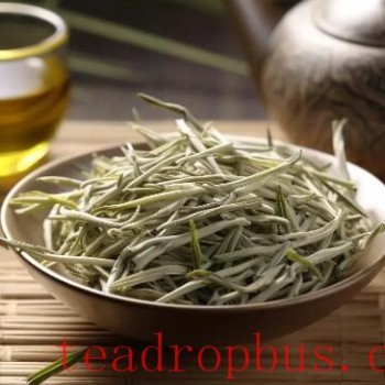 Jinshan Silver Needle Tea of China: History, Culture, and Modern Value