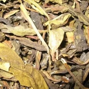 Old Yellow Leaves Are Rare and Should Be Cherished