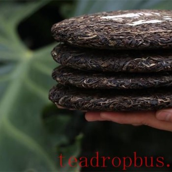 Selecting Pu-er Tea: What to Consider When Choosing Pu-er Tea (Part One)