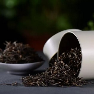 [Gossip about Pu-erh Tea] The Taste of Pu-erh Tea from Different Schools