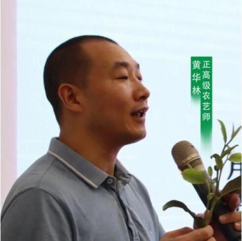 Kaiping Agricultural Skills Lecture —— Tea Garden Planning and Planting Management