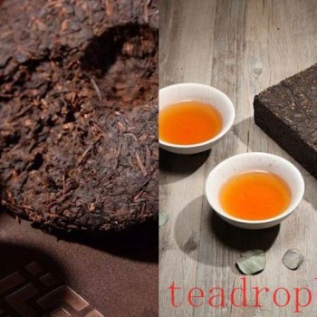 Construction and Application of the Flavor Wheel for Pu-er Tea and Fu Brick Tea