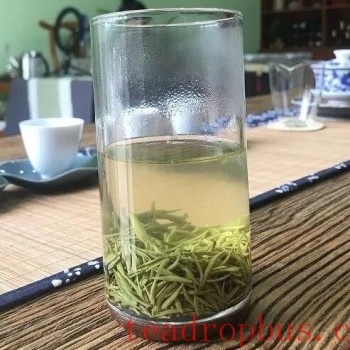 Are All Xin Yang Mao Jian Teas with an &quot;Astringent&quot; Taste Bad?