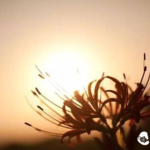 Autumn Equinox: Don't Sigh for the Cool Autumn, the Slight Chill is Just the Pleasant Weather