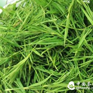 Famous Specialty of Leshan, Sichuan: Zhuyeqing Tea