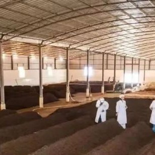 Land Nurturing, Piling Up, Ditching… Understanding the Pu-er Ripe Tea Fermentation Process: A Special on Pile Fermentation