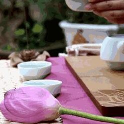 After Falling in Love with Tea, What Are the Troubles and Disadvantages?