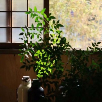 A Teahouse, Hidden in the Bustling City