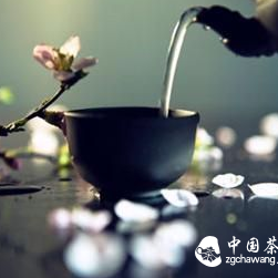 After Drinking This Cup of Tea, Enjoy This Elegance!