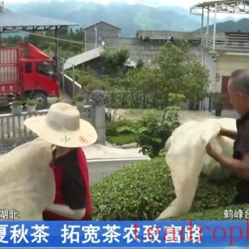 Enshi Prefecture-s Mechanized Summer and Autumn Tea Harvest Paves a Path to Prosperity for Tea Farmers