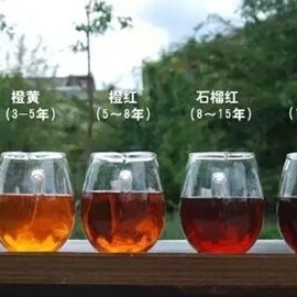 Teach you how to become a tea tasting expert in the shortest time!